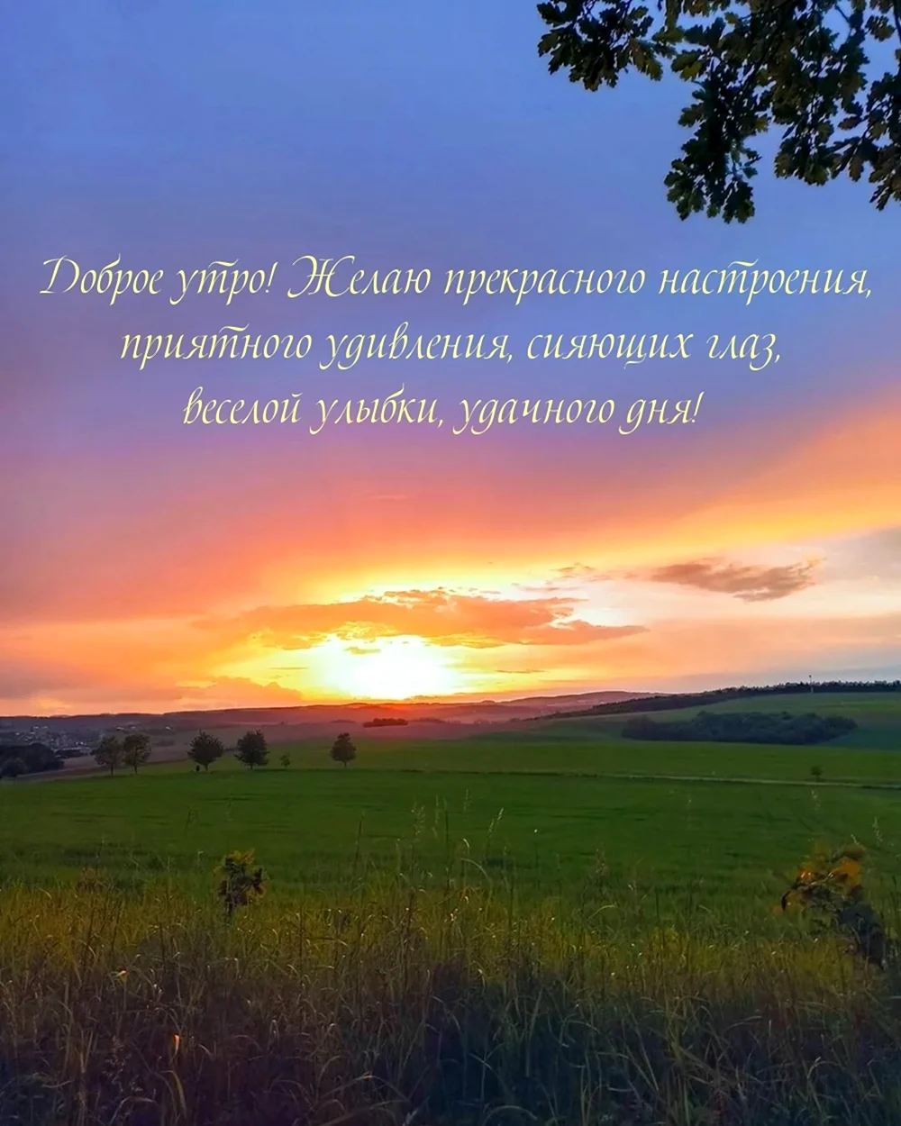 Пожелания доброго утра