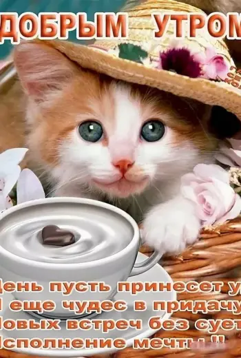Пожелания доброго утра