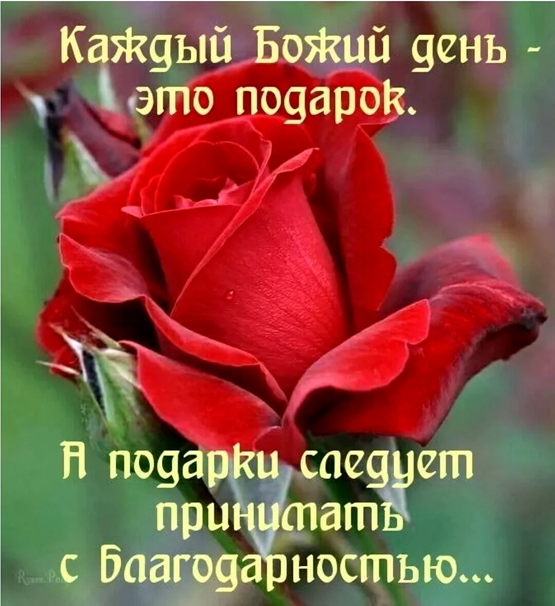 Пожелания доброго утра и Божьего благословения