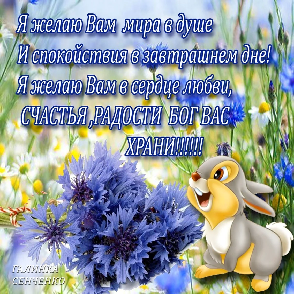 Пожелания душевного спокойствия и гармонии