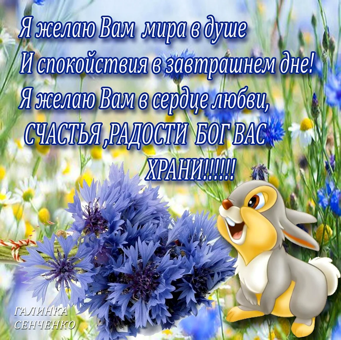 Пожелания душевного спокойствия и гармонии