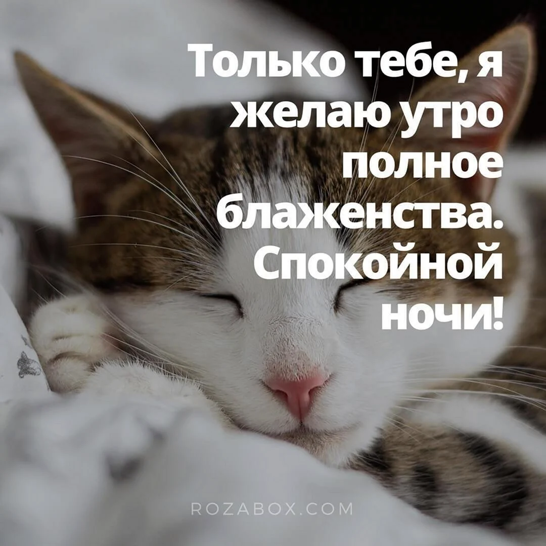Пожелания легкой работы ночью