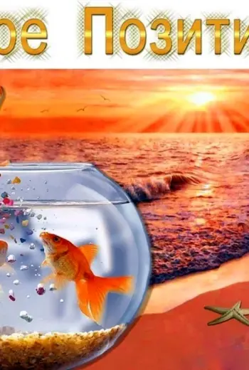 Пожелания море позитива