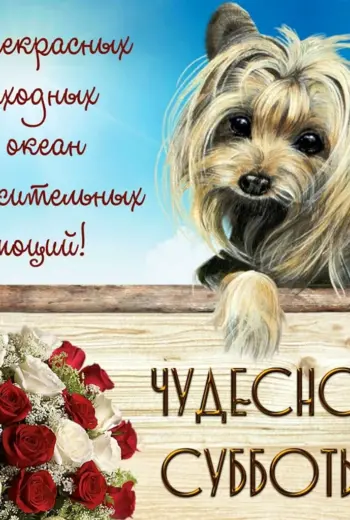 Пожелания на субботу