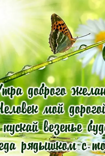Пожелания с добрым у Ром