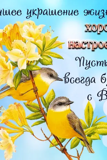 Пожелания с добрым утром с птицами