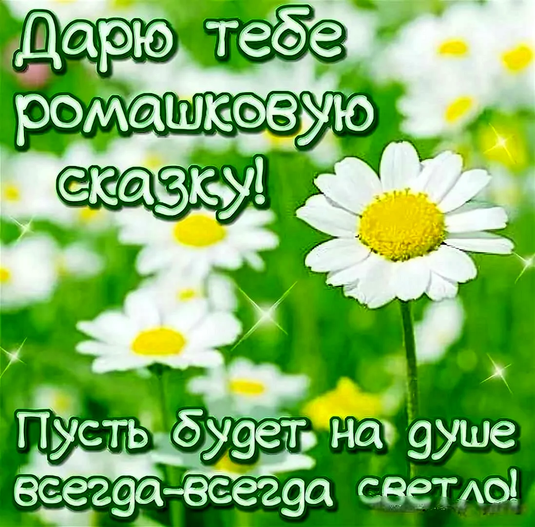 Пожелания с добрым утром с ромашками