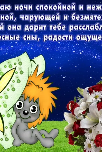 Пожелания спокойной ночи