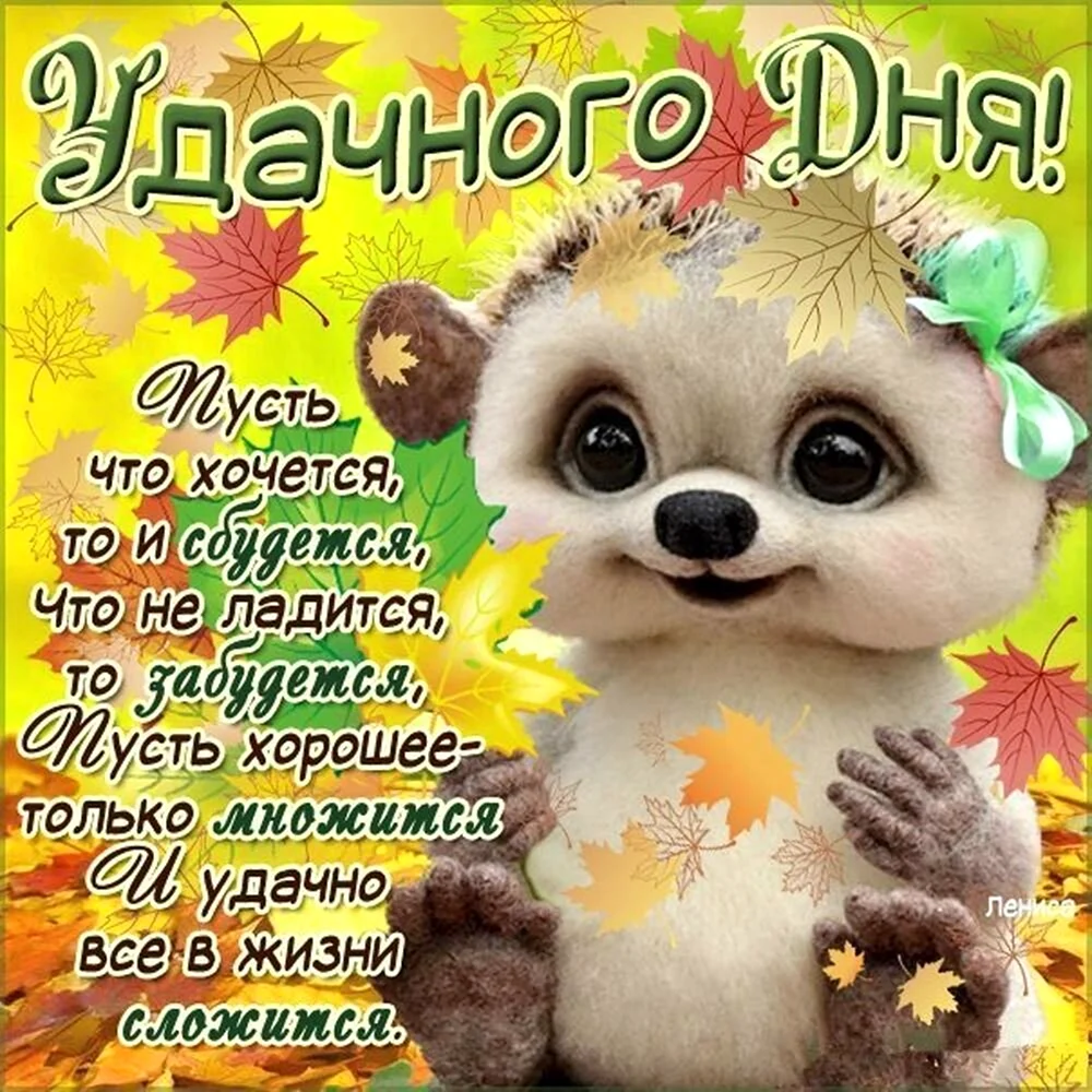 Пожелания удачного дня