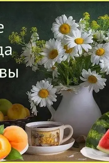 Пожелания здоровья