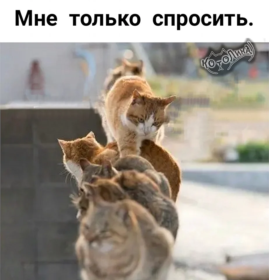 Позитивные демотиваторы для поднятия настроения