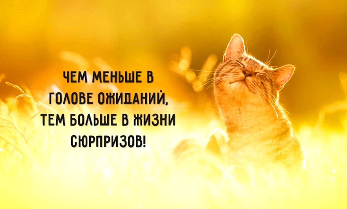Позитивные высказывания