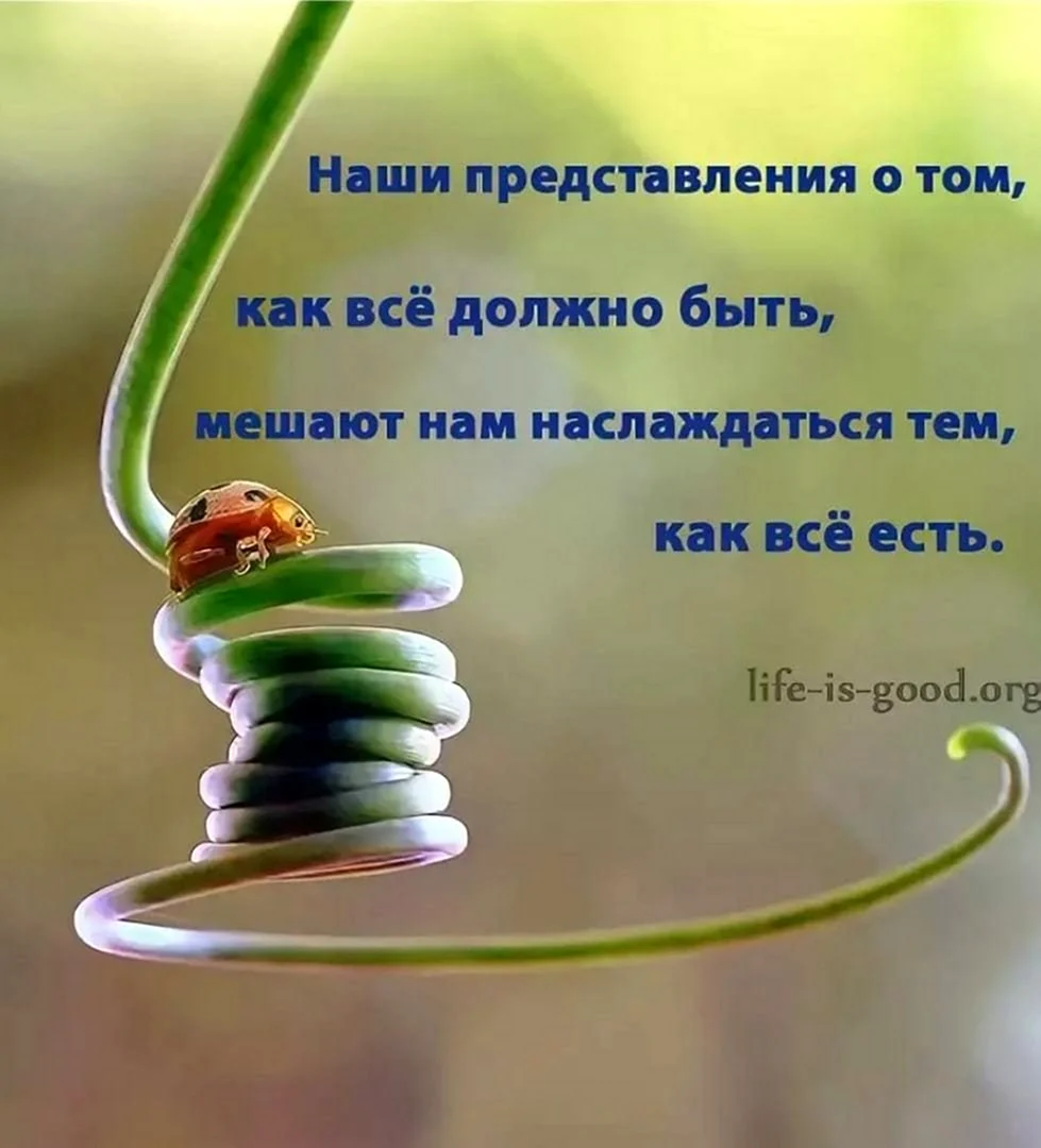 Позитивные высказывания