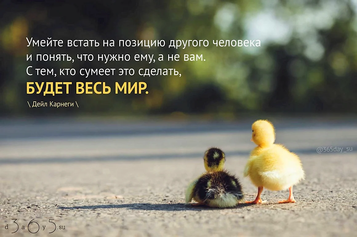 Позитивные высказывания