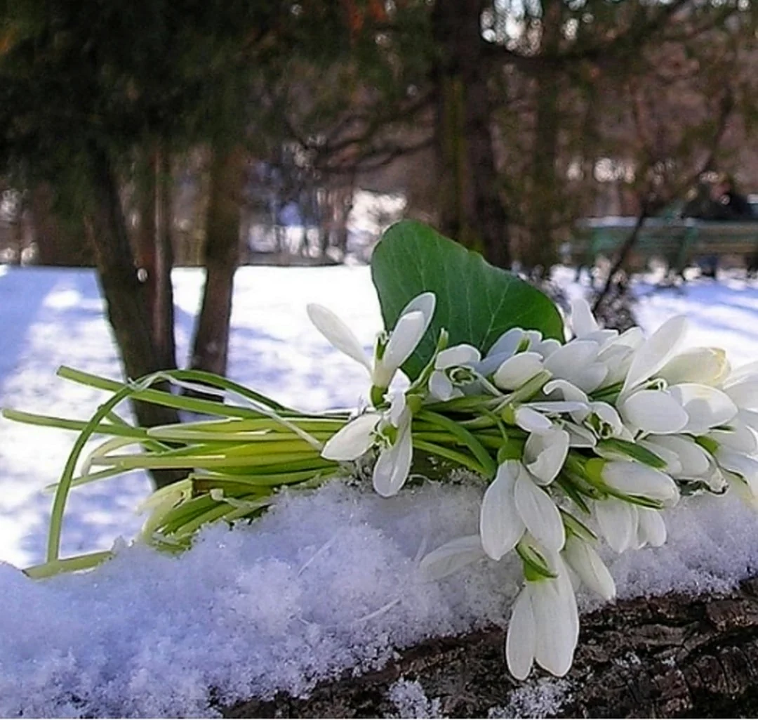 Предчувствие весны