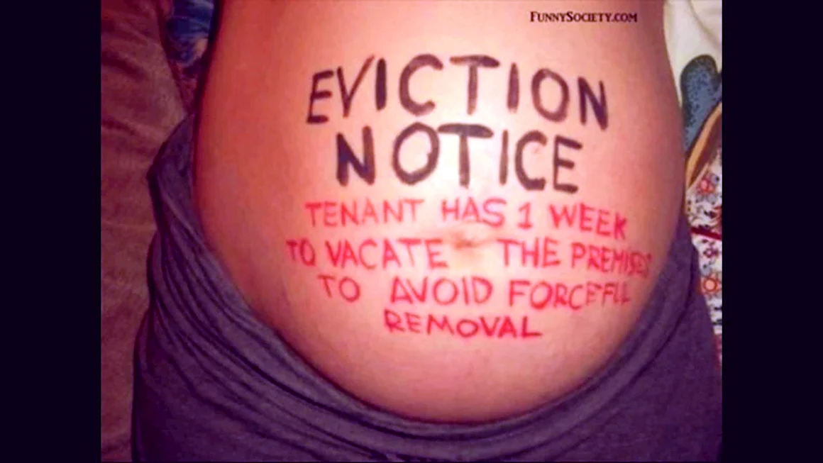 Pregnant funny
