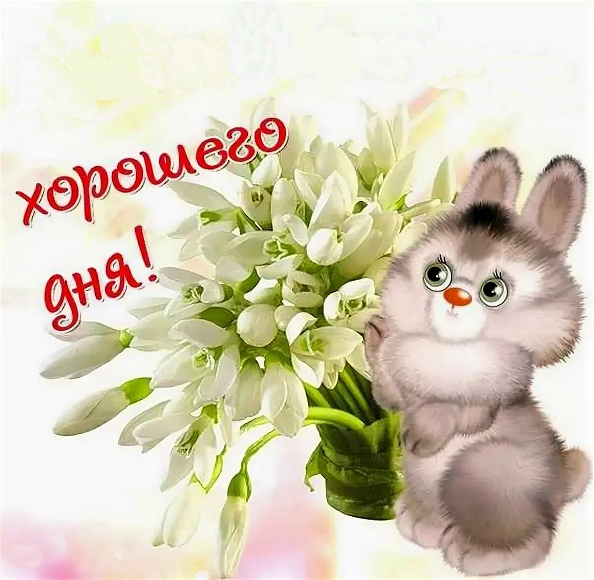 Прекрасного майского дня и отличного настроения