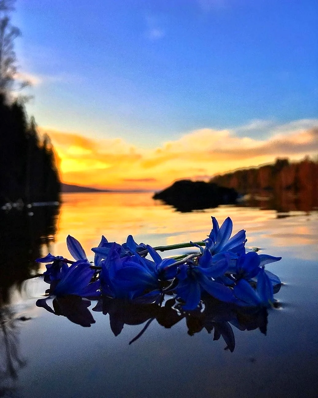 Прекрасного весеннего вечера