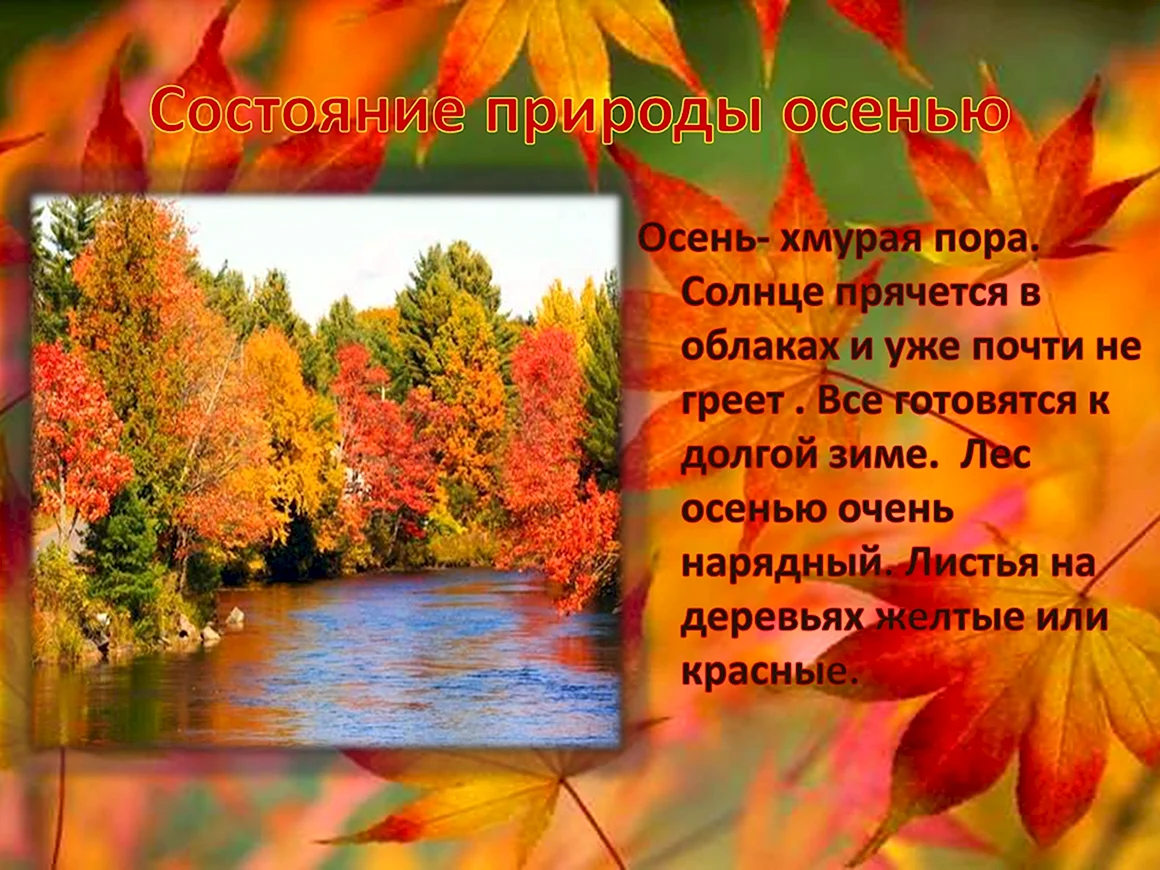 Презентация на тему осень