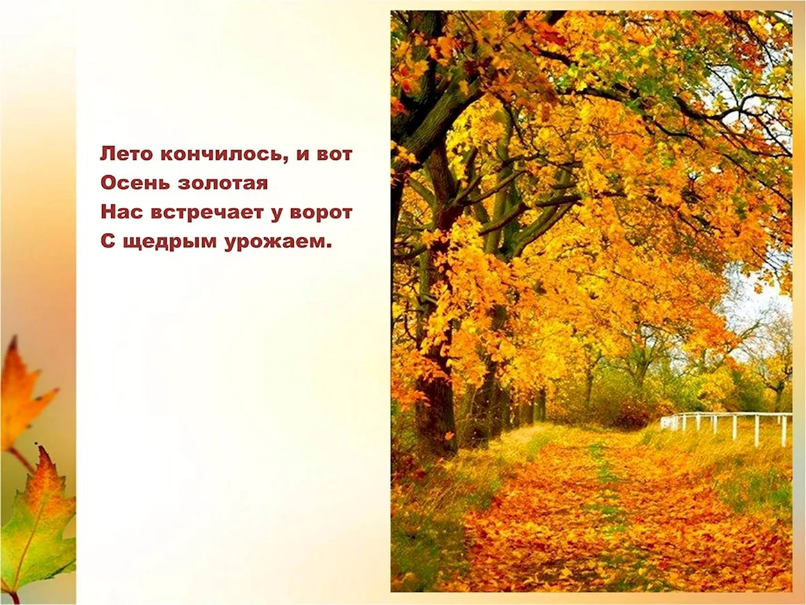 Презентация осень