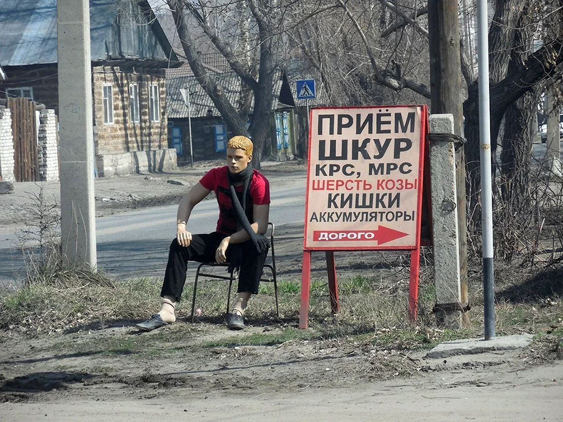 Прием шкур КРС