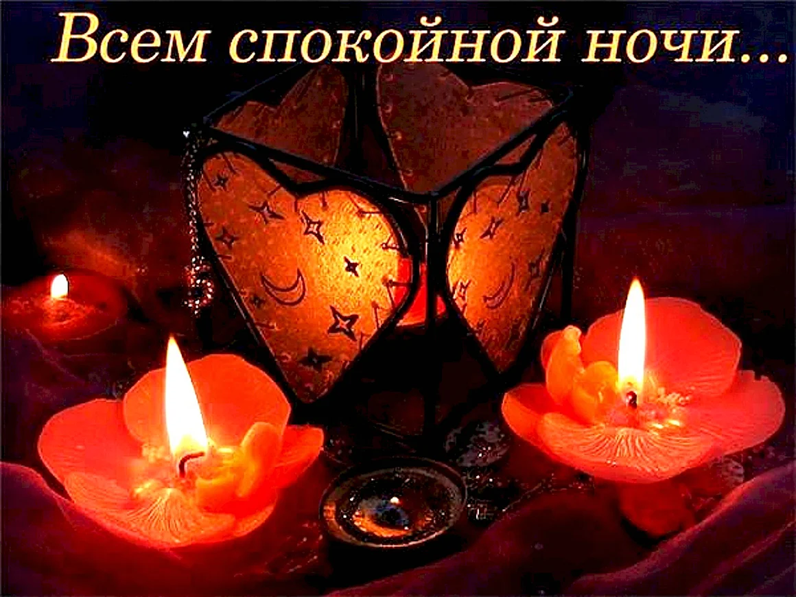 Приятного вечера и сладких снов