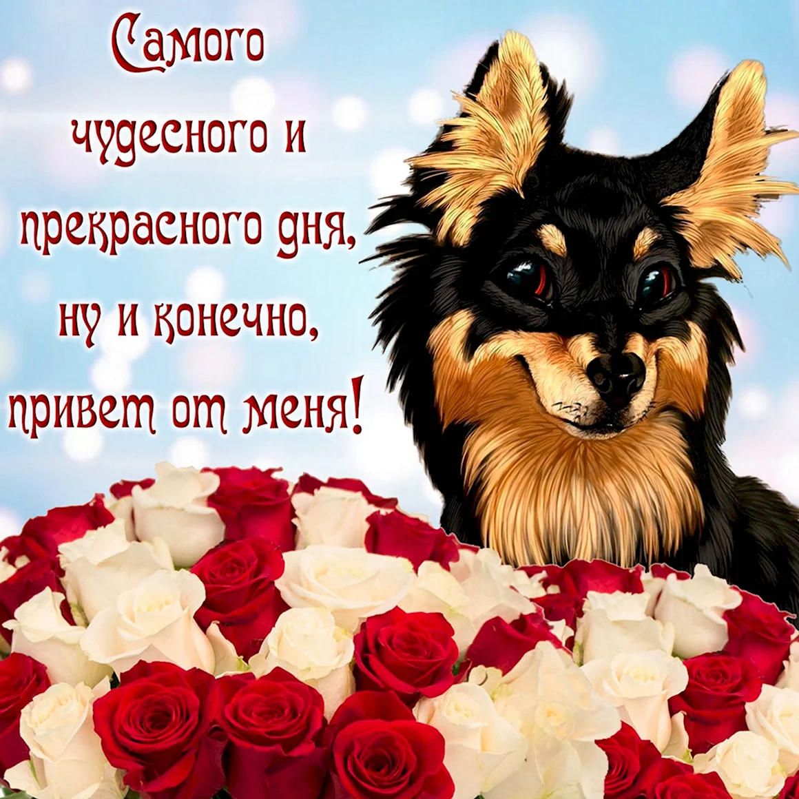 Приятные пожелания
