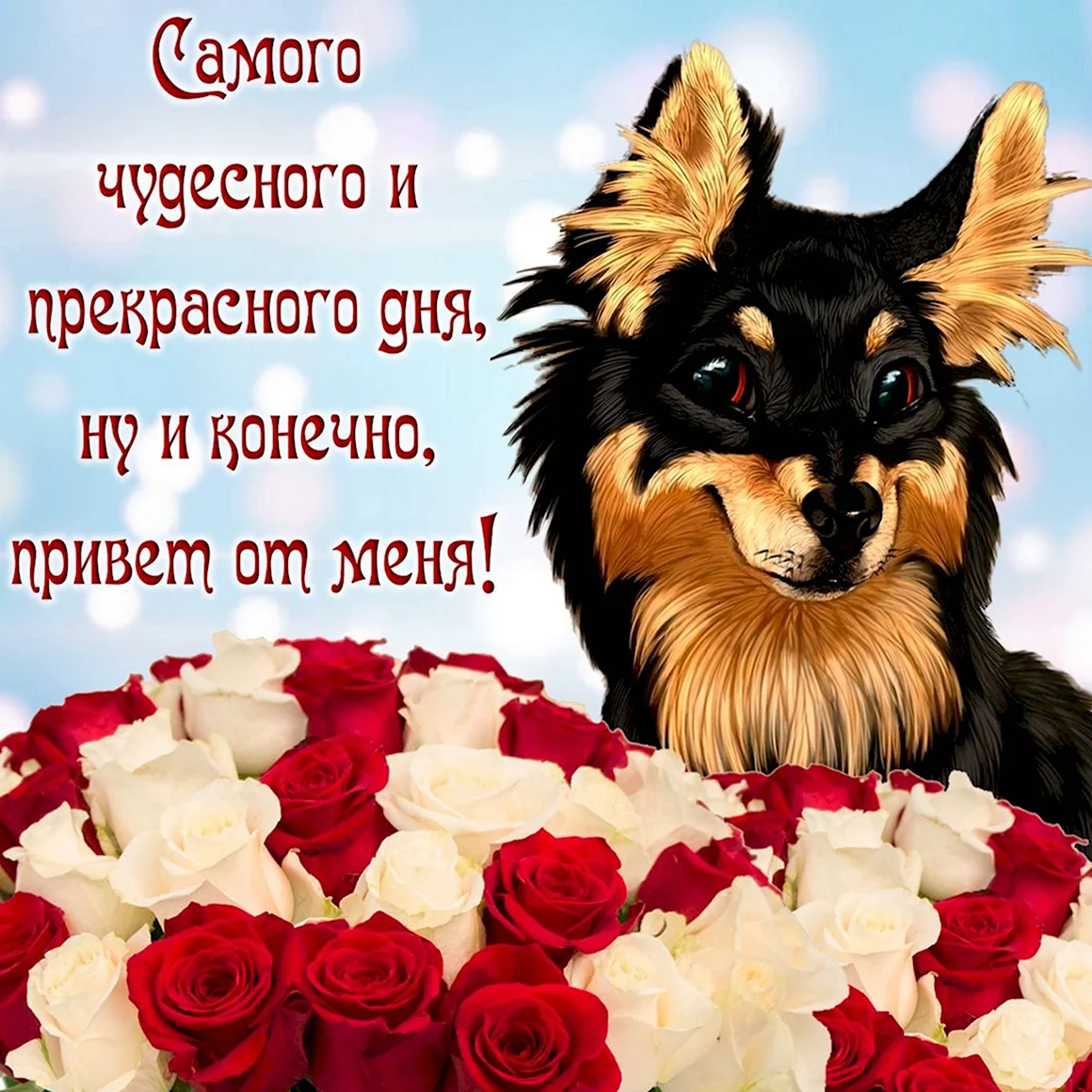 Приятные пожелания