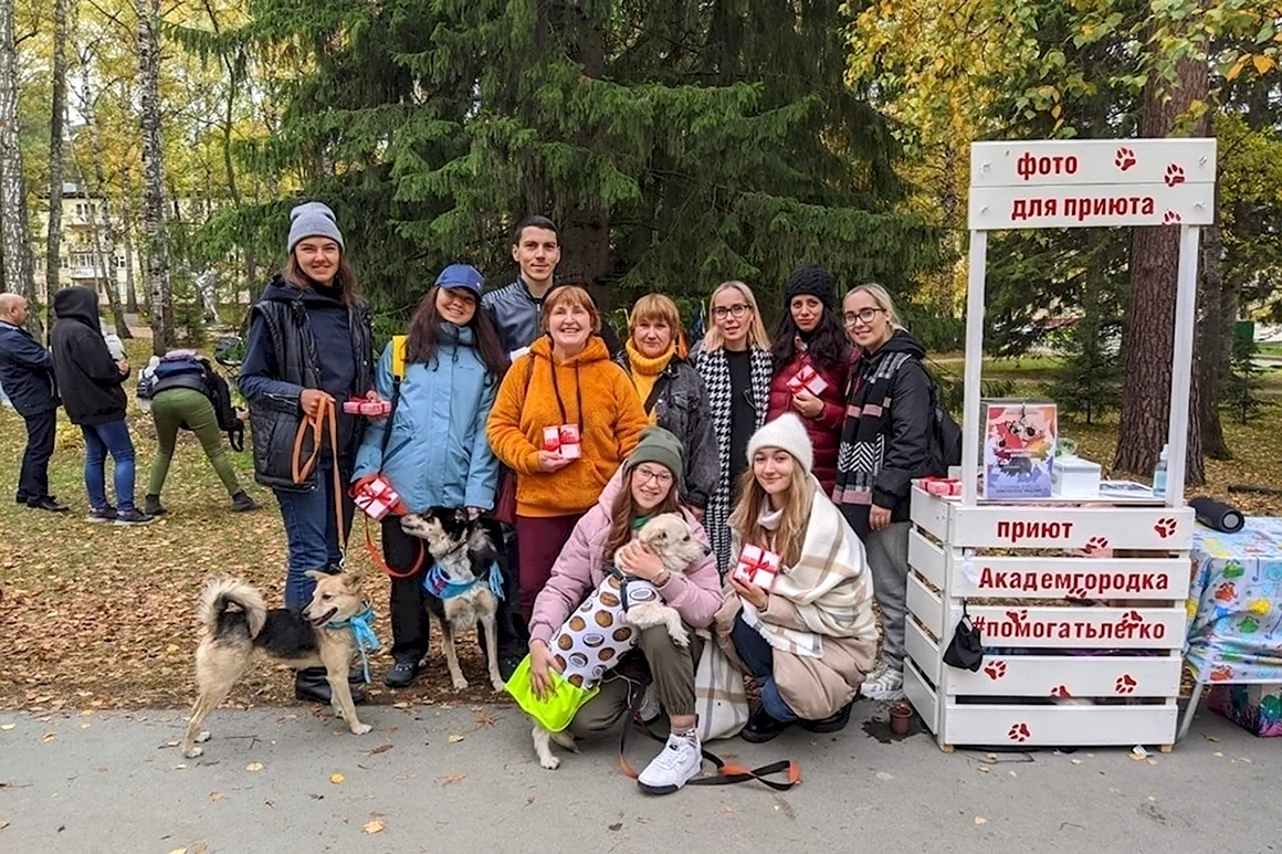 Приют для животных в Академгородке Новосибирск