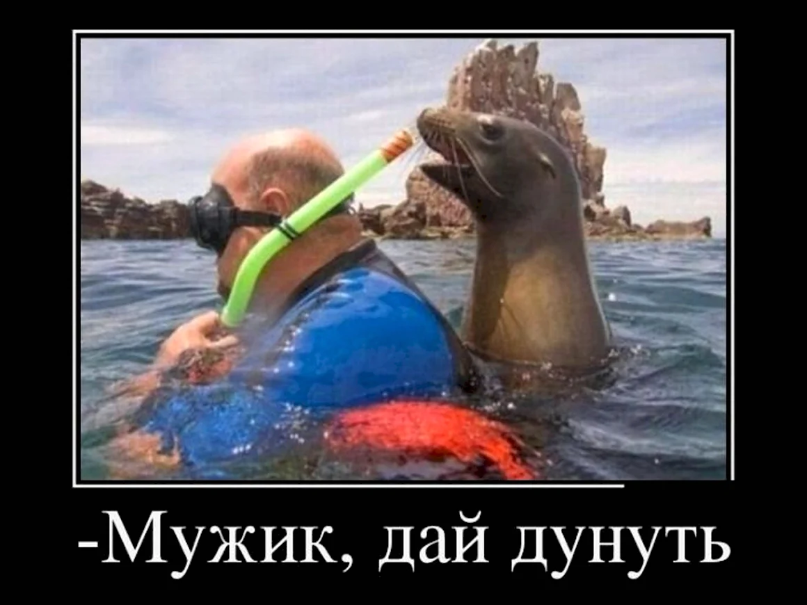 Прикольные картинки ржачные