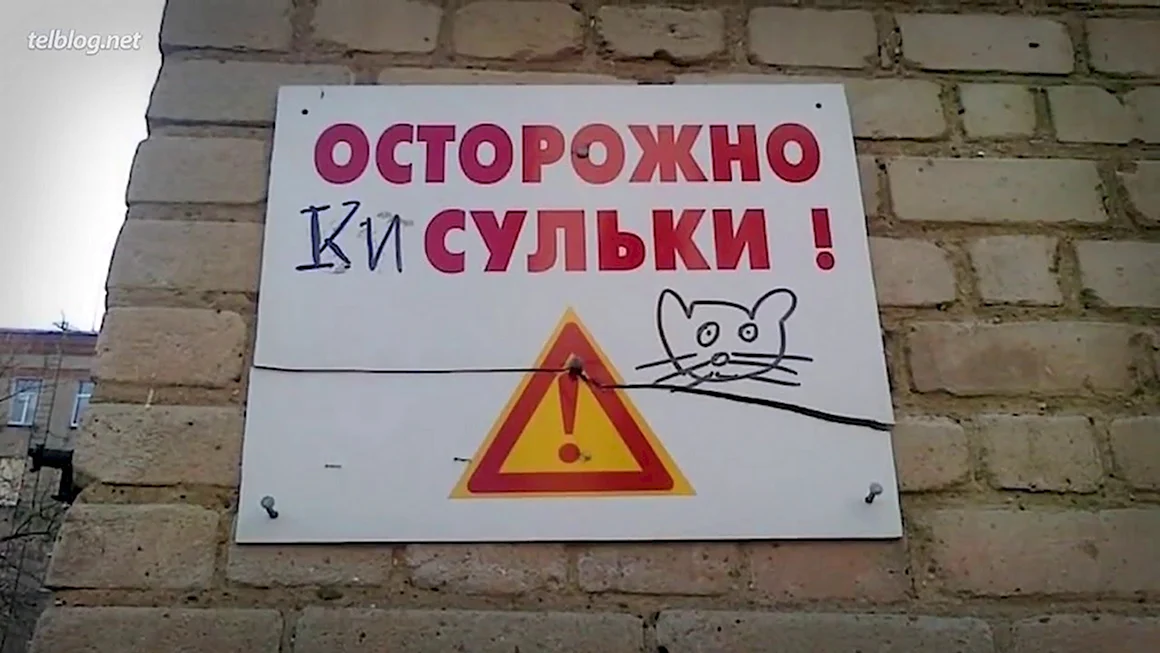 Прикольные надписи