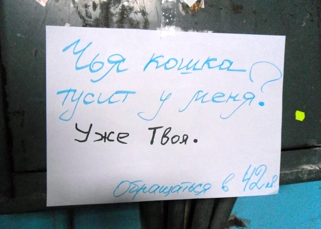 Прикольные надписи в подъездах