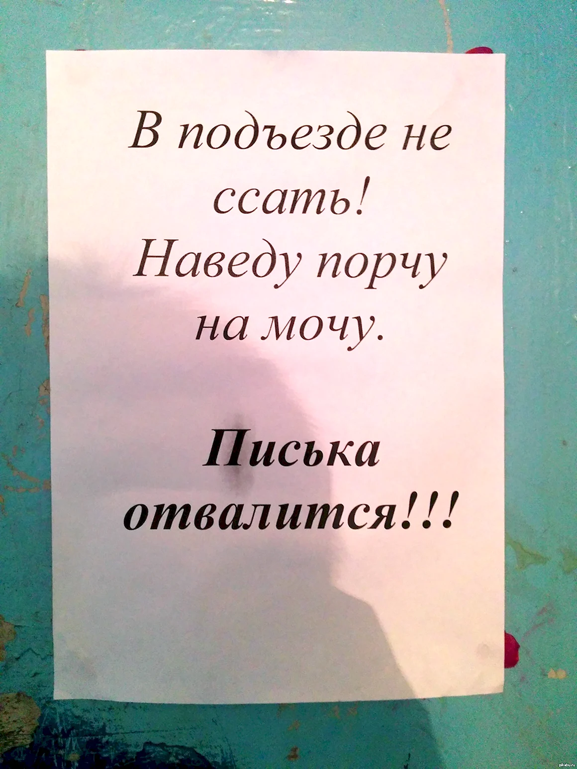 Прикольные объявления в подъезде