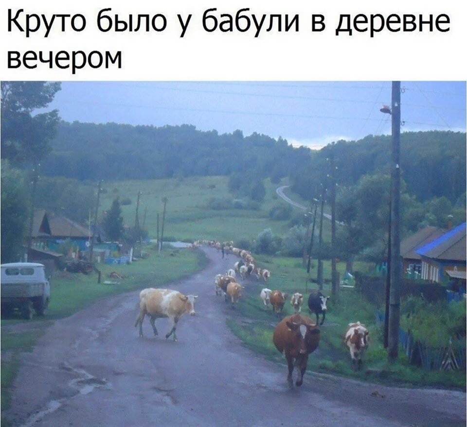 Прикольные открытки деревню