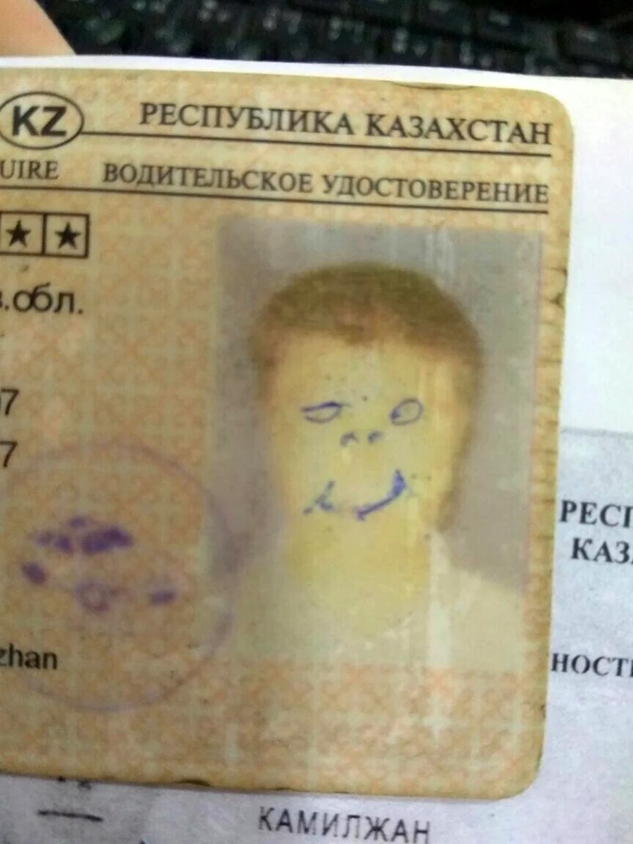Прикольные права водительские