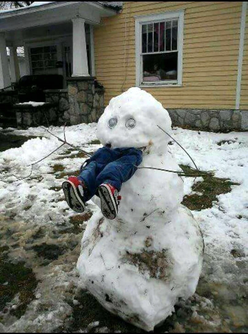 Прикольные Снеговики