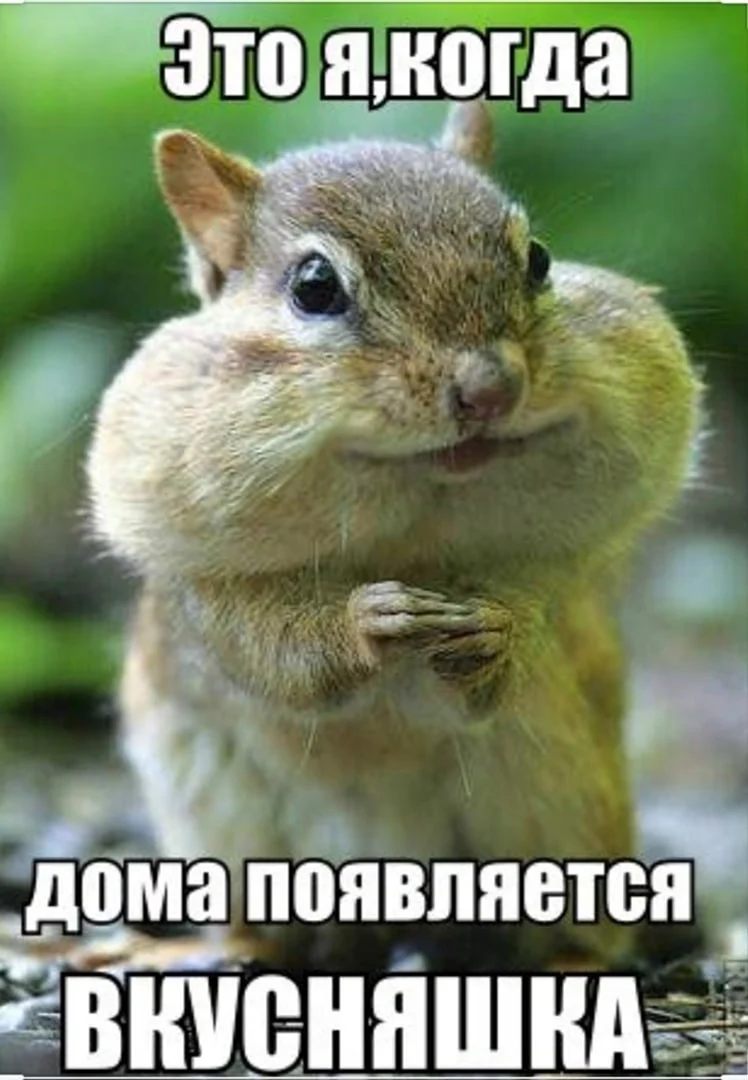Приколы картинки с надписями