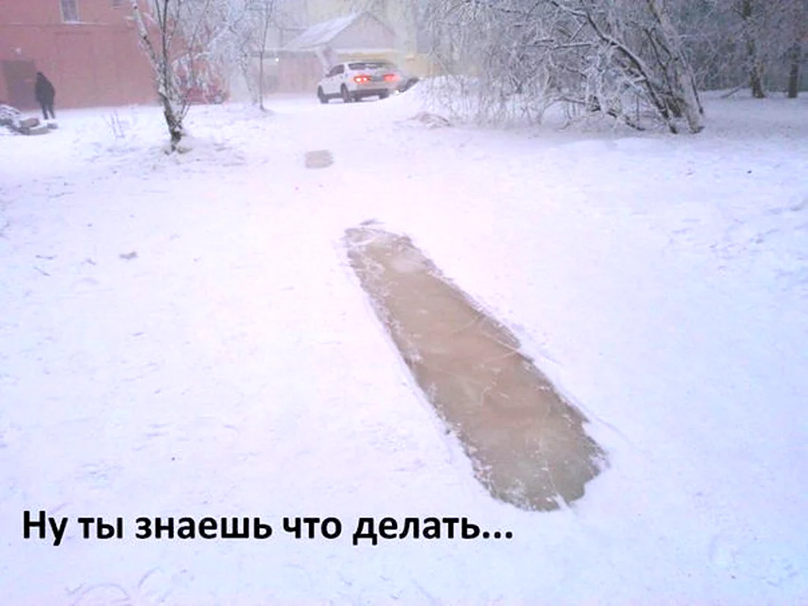 Приколы на льду