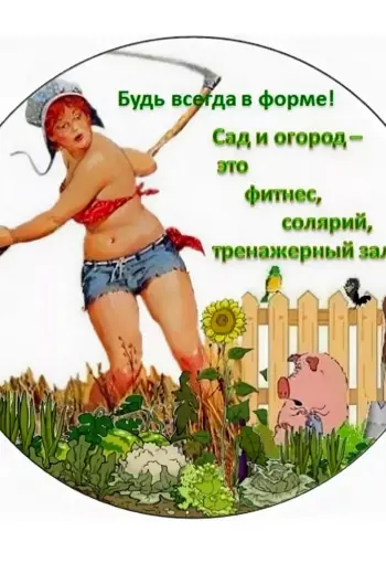 Приколы про дачу