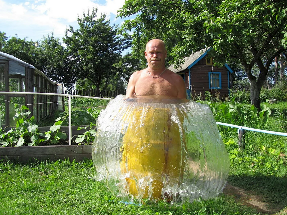 Приколы про дачу
