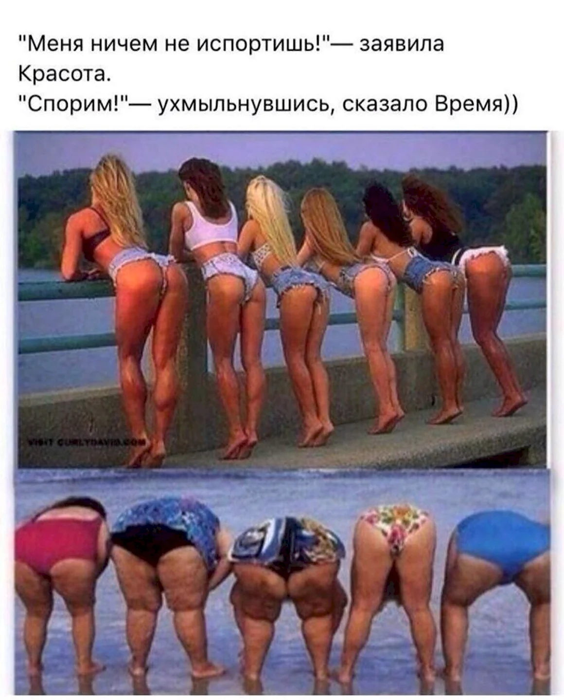 Приколы про ягодицы