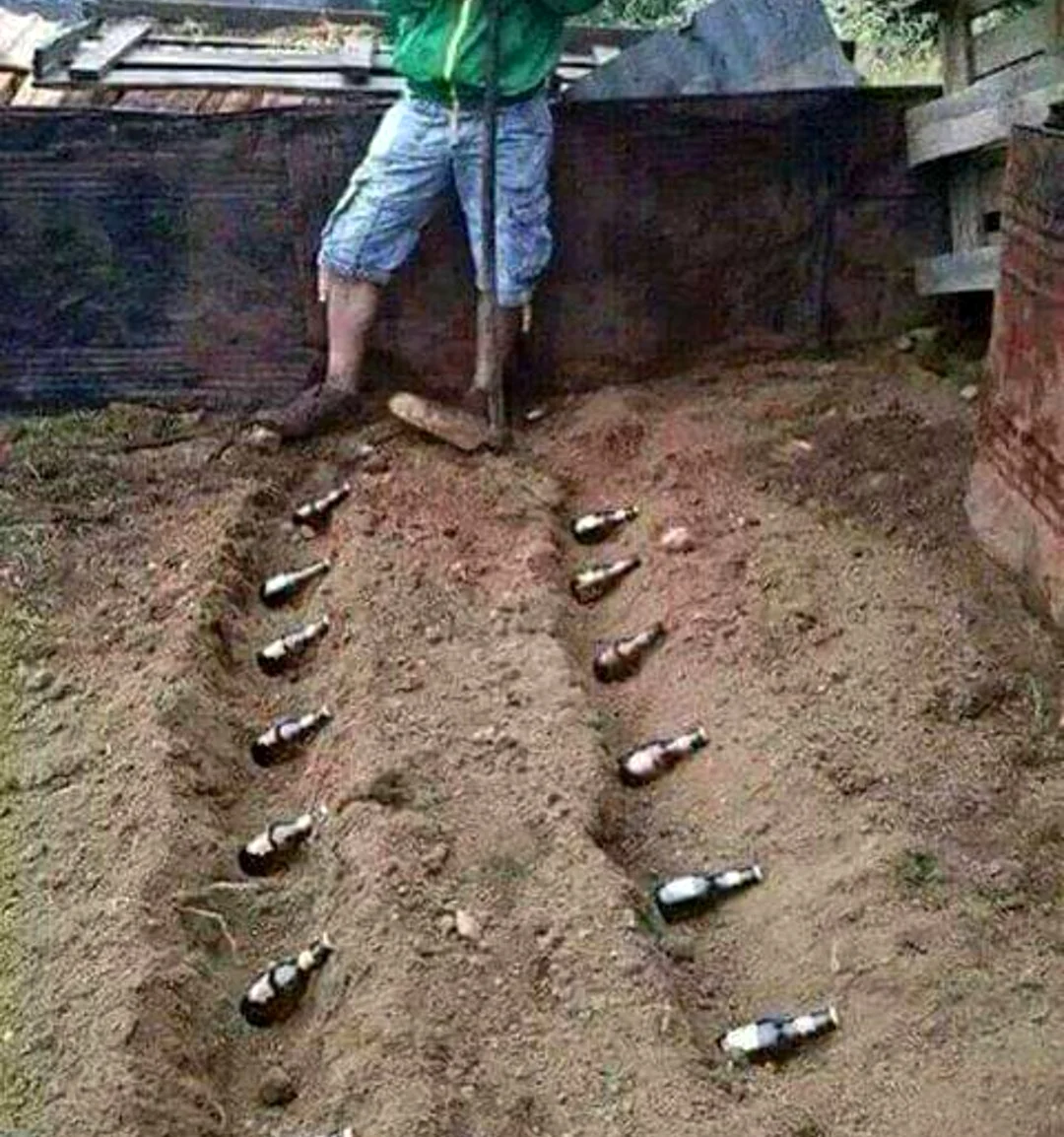 Приколы про огород