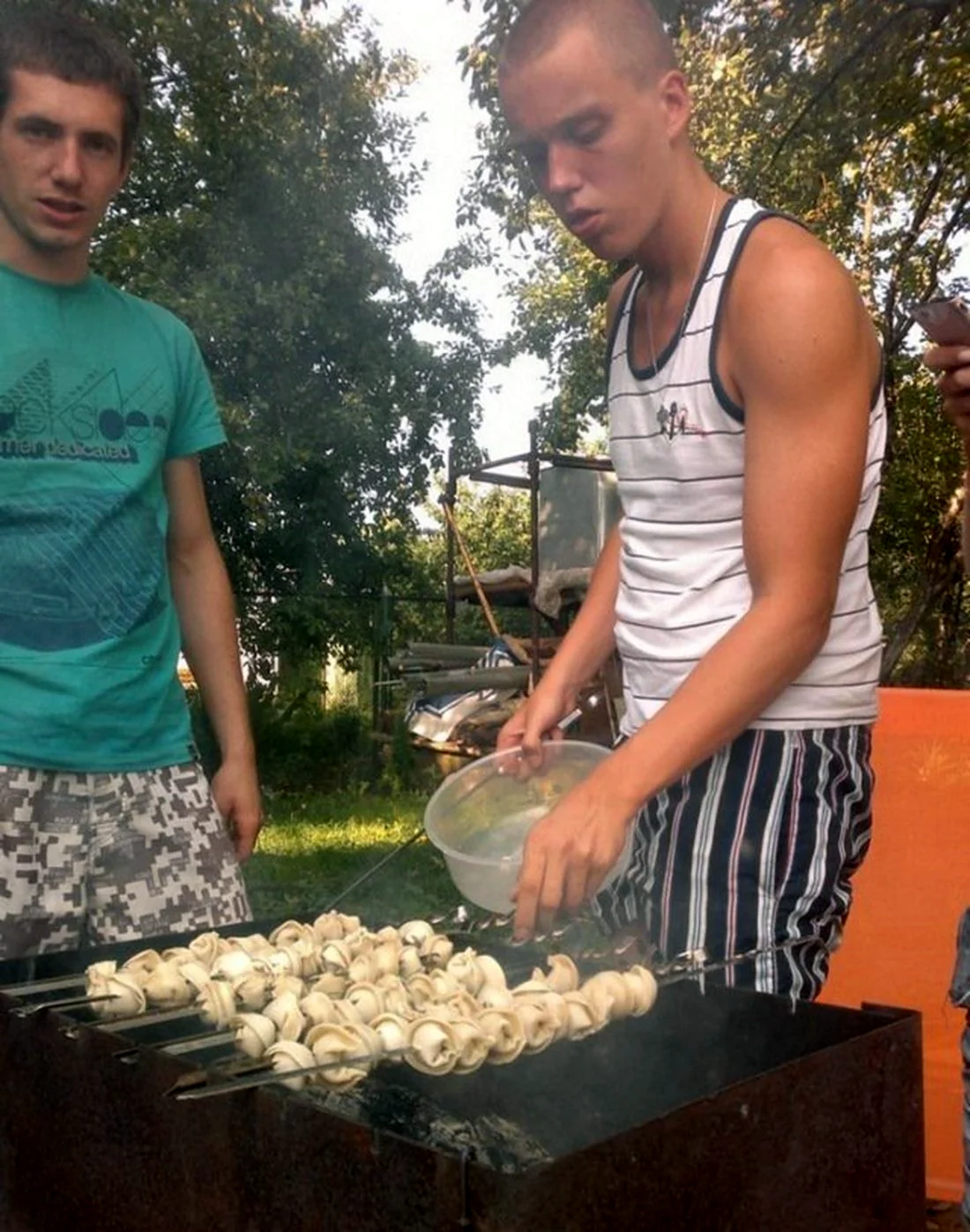 Приколы про шашлыки на природе