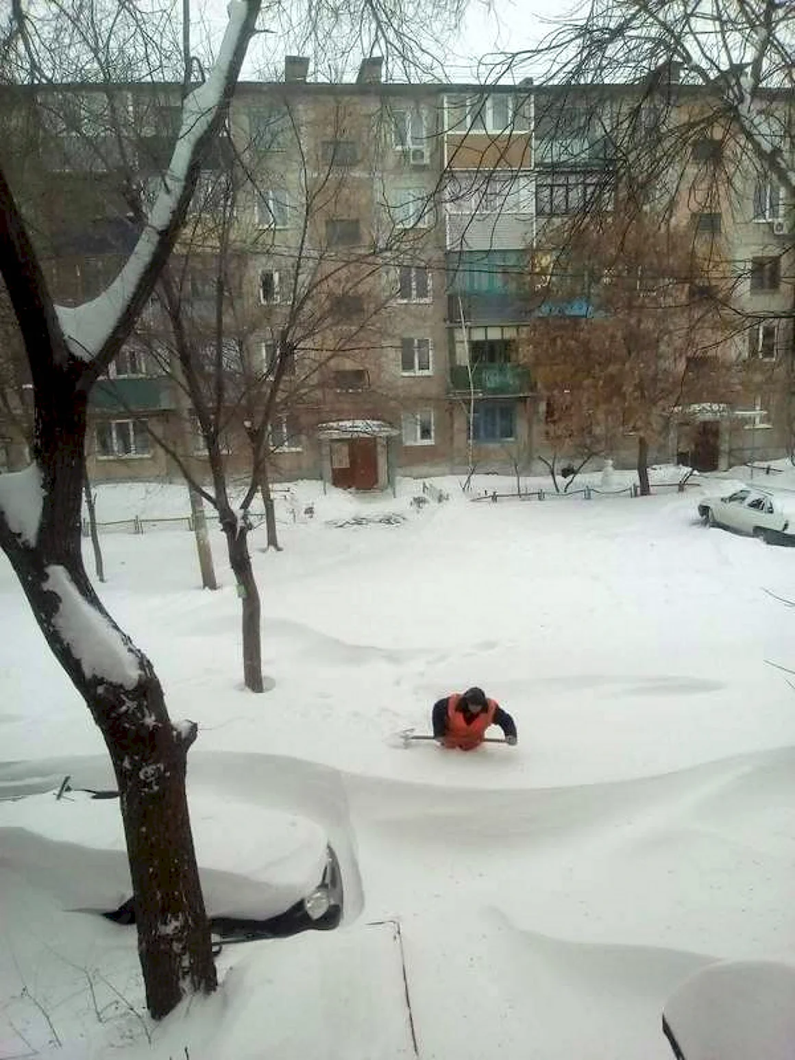 Приколы про снежную зиму