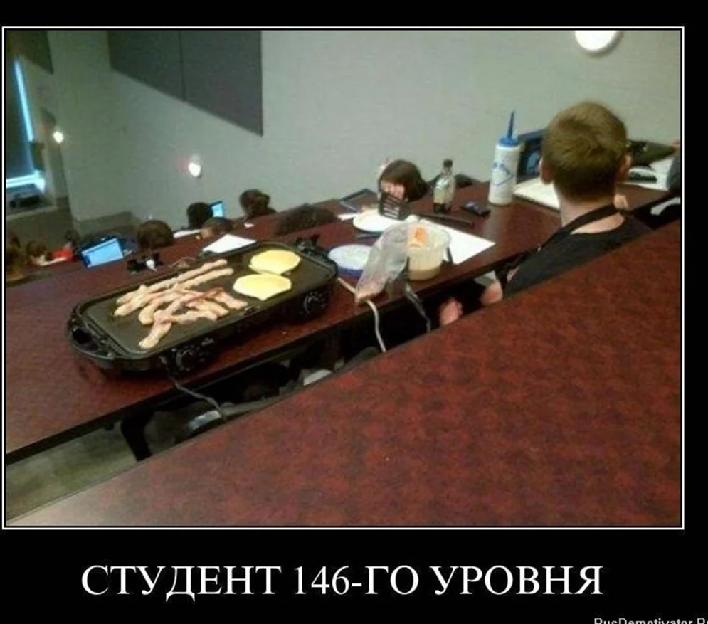 Приколы про студентов