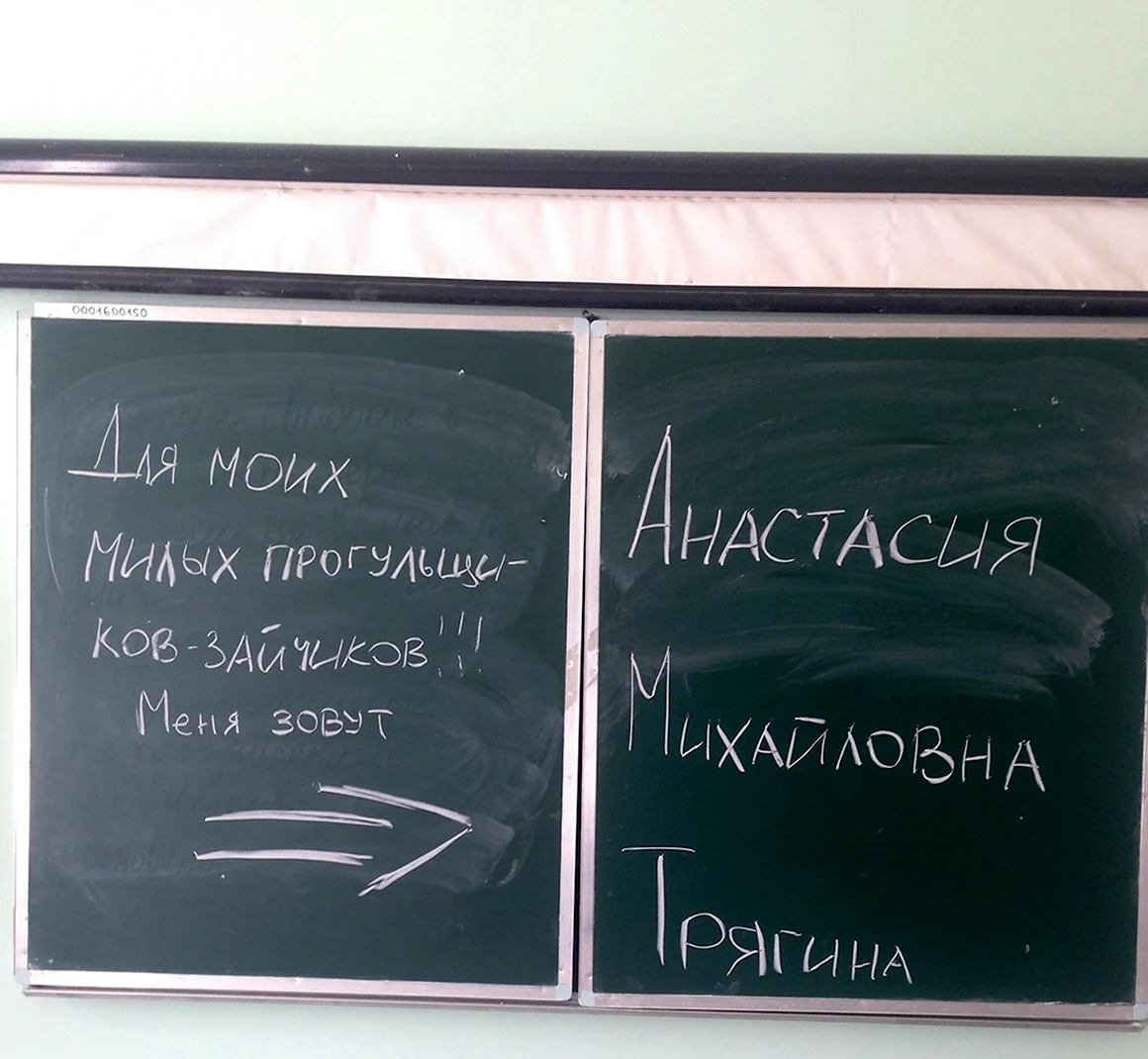 Приколы про студентов заочников