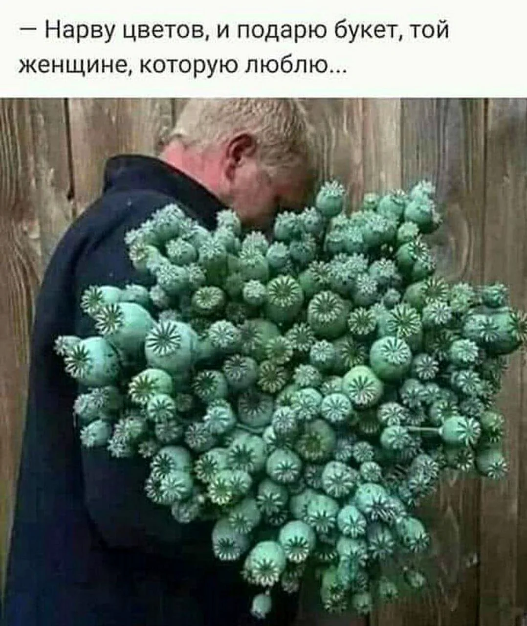 Приколы про цветы