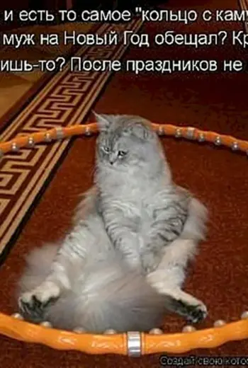 Приколы с котами с надписями