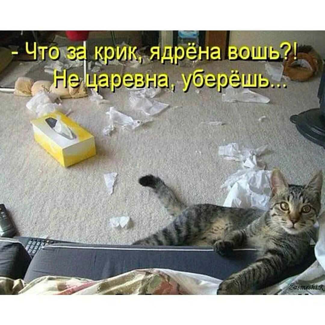 Приколы с надписями