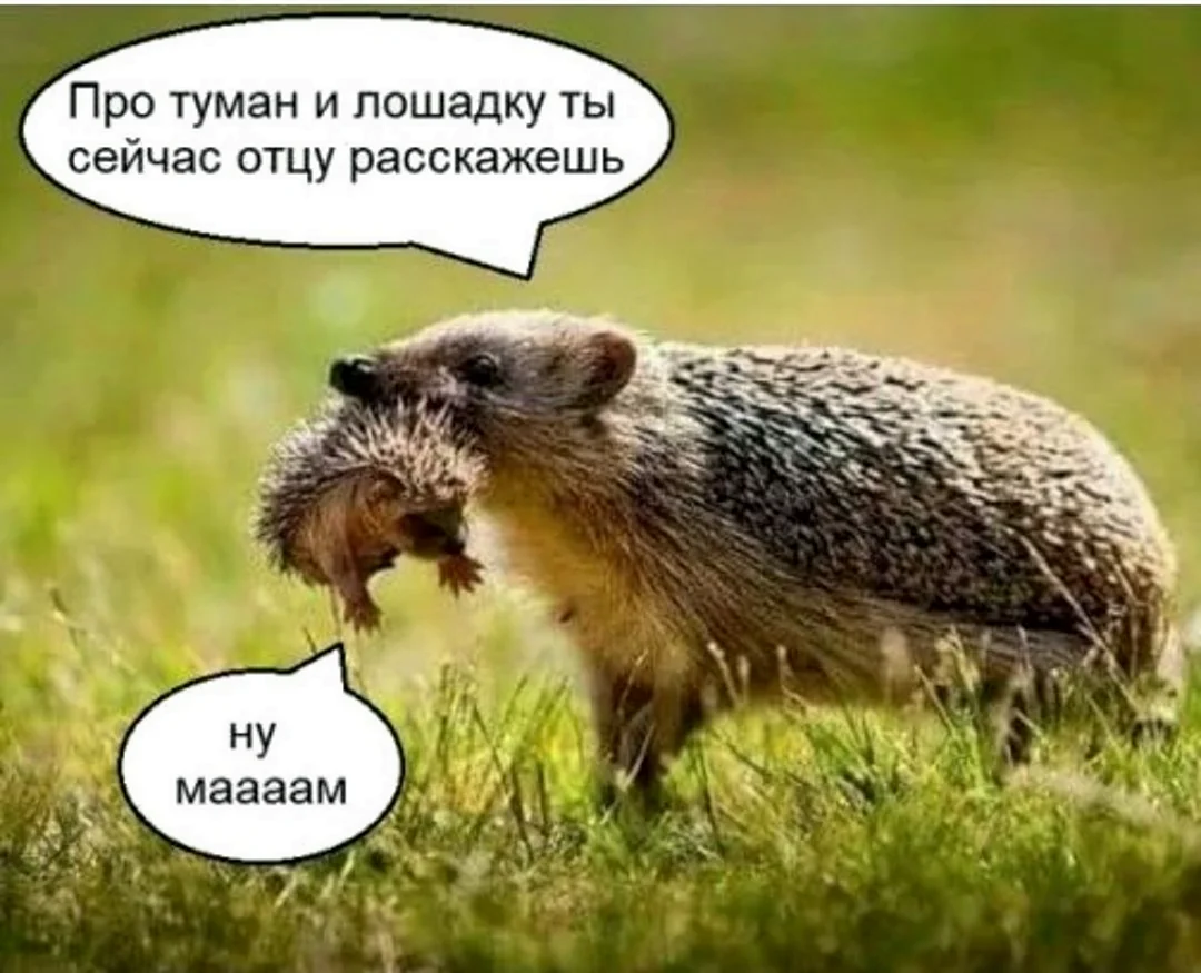 Приколы с надписями